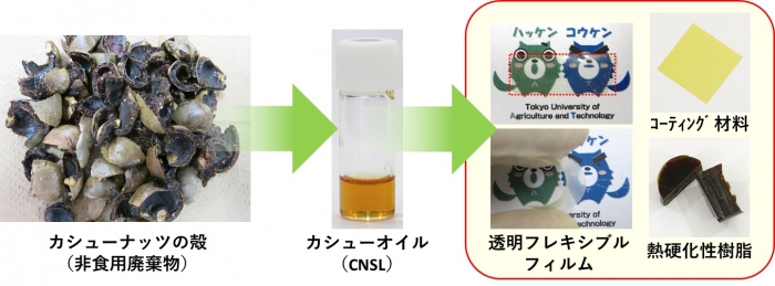 開発から応用までの例。(東京農工大学の発表資料より)