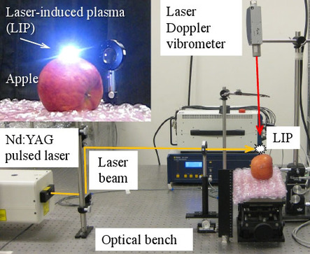 LIP衝撃波による青果物の品質評価システム(芝浦工業大学の発表資料より)