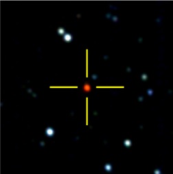 発見された、炭素に覆われたミラ型変光星の画像。（画像：東京大学発表資料より）