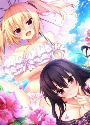 2017年夏アニメ『ノラと皇女と野良猫ハート』より小説版の表紙絵が公開!PS Vita版の予約も開始!!