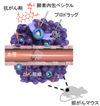 ナノファクトリーによる治療の概念図。（画像：京都大学表資料より）