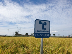 ローソンファーム新潟　圃場