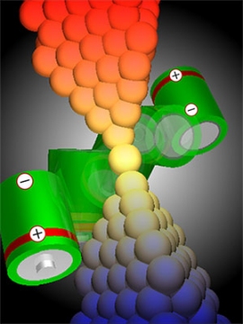 金原子接点を用いた両極性の熱起電力発生の概念図。（画像：東京工業大学発表資料より）