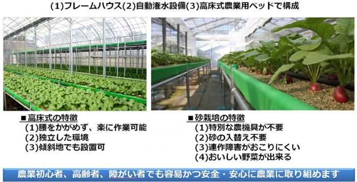 高床式砂栽培農業施設「トレファーム」（写真: 東レ建設の発表資料より）