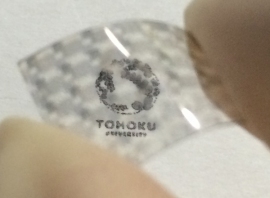 TMDを用いた透明フレキシブル太陽電池（写真：東北大学発表資料より）