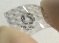 TMDを用いた透明フレキシブル太陽電池（写真：東北大学発表資料より）
