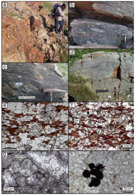 ヌリアック表成岩帯に見られる変成した堆積岩。a：泥質岩の露頭、b：礫岩の露頭、c：炭酸塩岩の露頭。チャートノジュールが見られる、d：チャートの露頭、e と f：泥質岩の薄片写真。黒い粒がグラファイト、g: 炭酸塩岩の薄片写真、h: 炭酸塩岩中のグラファイト。（画像：東京大学/海洋研究開発機構発表資料より）