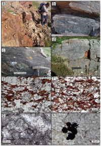 ヌリアック表成岩帯に見られる変成した堆積岩。a：泥質岩の露頭、b：礫岩の露頭、c：炭酸塩岩の露頭。チャートノジュールが見られる、d：チャートの露頭、e と f：泥質岩の薄片写真。黒い粒がグラファイト、g: 炭酸塩岩の薄片写真、h: 炭酸塩岩中のグラファイト。（画像：東京大学/海洋研究開発機構発表資料より）