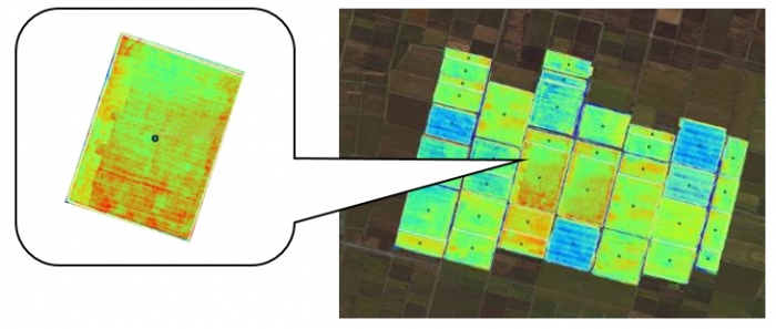 圃場のマッピングで生育状況のばらつきを見える化（写真：ヤンマー発表資料より）