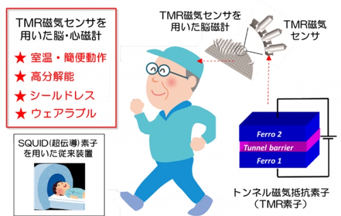 TMR磁気センサを用いた脳磁計の概念図（写真：東北大学の発表資料より）