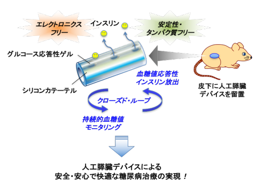 開発された治療法の概略。（画像：東京医科歯科大学発表資料より）