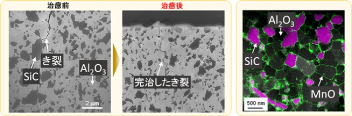  （左） 自己治癒の様子。完治まで最速1分。 （右） ネットワーク状に配置された酸化マンガン （緑） が治癒を促進。（画像：物質・材料研究機構発表資料より）