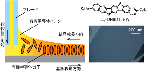 有機半導体インクから大面積単結晶薄膜を塗布製膜する手法の概要図。（左）高移動度有機半導体材料の構造式と2次元単結晶領域の偏光顕微鏡写真。（右）（写真：産総研の発表資料より）