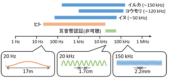 主な動物の可聴域（写真：NECの発表資料より）
