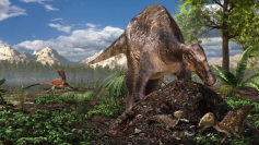 北極圏での恐竜類（右：ハドロサウルス類、左：トロオドン科）の営巣復元画。（画像：北海道発表資料より、提供：服部雅人氏）