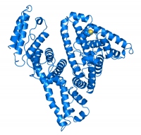 図1. 遺伝子組換えネコ血清アルブミンの立体構造（写真：JAXAの発表資料より）