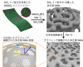 穴の空いたグラフェンで被膜したニッケルモリブデンの作製概要図と水素発生のしくみ（図：筑波大学の発表資料より）