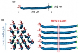 規則的に集合化したＭ１３ファージの上面と側面の模式図。(画像: 東京工業大学の発表資料より)