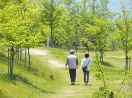 厚労省が2015年の「市区町村別生命表の概況」を公表。全国平均の平均寿命は男80.8年、女87.0年。男性のトップは神奈川県横浜市青葉区で83.3年。女性では沖縄県中頭郡北中城村が89.0年で最高。