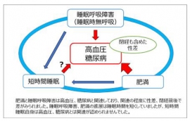 (画像: 京都大学の発表資料より)