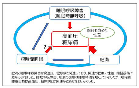 (画像: 京都大学の発表資料より)