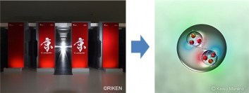 スーパーコンピュータ「京」（左）とダイオメガ（ΩΩ）のイメージ図（右）。（画像:理化学研究所発表資料より）