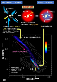 野口准教授による天の川銀河の進化の想像図。最初に「冷たい降着流」によってα元素の豊富な星が形成された。続く星形成停止期に Ia 型超新星の爆発によってガス中の鉄の濃度が増えた。その後の「冷却流」によって鉄を豊富に含む星が作られた。下図のカラーマップはモデルで計算された太陽近傍における星の頻度分布を示す（Credit: M. Noguchi,Nature, July 26th 2018 issue）。等高線は APOGEEによる太陽近傍の星の実際の分布を示す（Credit: M. Haywood et al. A&A, 589, 66（2016）, reproduced with permission （c） ESO）。