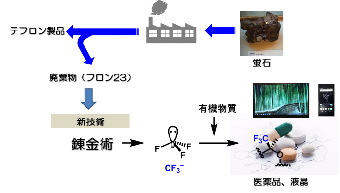 （画像:名古屋工業大学発表資料より）