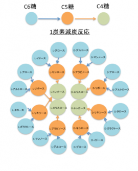 基本反応。（画像:東京理科発表資料より）