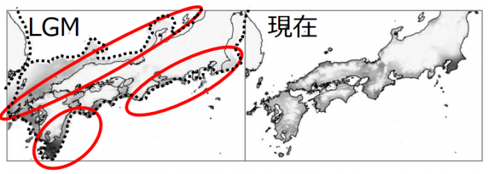 スダジイの分布モデル。（画像:大阪大学発表資料より）