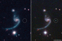 「超新星 iPTF14gqr の出現前と出現後の画像。破線の丸で囲まれた部分が超新星。」（c）SDSS/Caltech