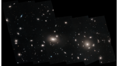 かみのけ座銀河団から発見された多数の球状星団 （c） NASA, ESA, J. Mack （STScI）, and J. Madrid （Australian Telescope National Facility）