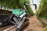 長いアームでアスパラガスを収穫する農業用AIロボット(画像: inahoの発表資料より)