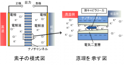 熱電バッテリー素子の模式図（左図）および原理を示す図（右図）（写真：東北大学の発表資料より）