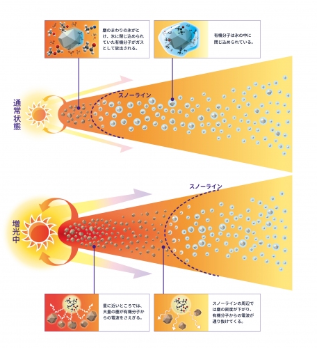 原始惑星系円盤の模式図。スノーライン付近の有機分子が放つ電波をアルマ望遠鏡が捉えた。 （c）  国立天文台