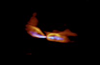 アルマ望遠鏡で観測した原始星「MMS5/OMC-3」のガス流。オレンジ色が低速ガス、青色が高速ガスを示す。（c） ALMA （ESO/NAOJ/NRAO）, Matsushita et al.