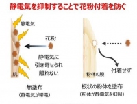 肌への花粉付着を抑制するメカニズム（ポーラ化成発表資料より）