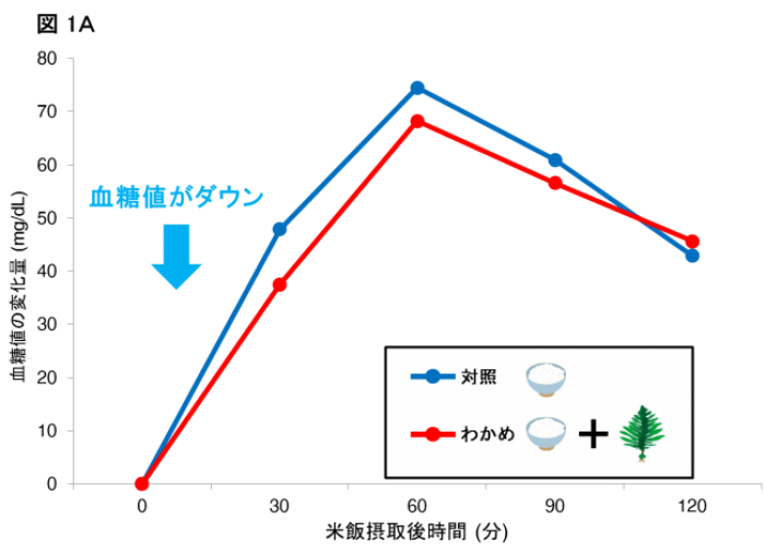 ワカメを食べると血糖値の上昇が抑えられることを示すグラフ（図：理研ビタミンの発表資料より）