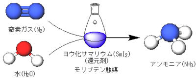 窒素ガスと水を用いたアンモニア合成。（画像:東京大学発表資料より）