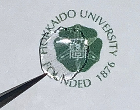 北海道大の研究グループが開発した柔粘性/強誘電性結晶（写真：北大の発表資料より）