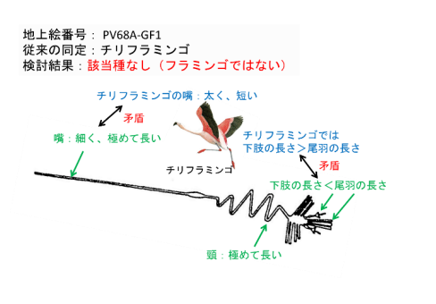 同定できなかった著名な地上絵。（画像:北海道大学発表資料より）