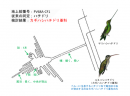 カギハシハチドリ類と同定できた地上絵。（画像:北海道大学発表資料より）