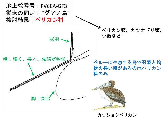 ペリカン類と同定できた地上絵。（画像:北海道大学発表資料より）