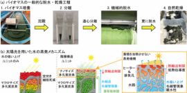 （a）一般的な藻類含水バイオマスの脱水・乾燥工程、（b）太陽光を用いた水蒸発メカニズムと（c）階層構造を持つグラフェン。（画像:筑波大学発表資料より）