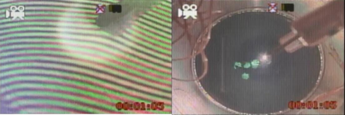 装置内で炭素とチタンの蒸気から宇宙ダストが生成する様子（写真：北海道大学の発表資料より）