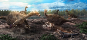 テリジノサウルス類恐竜の集団営巣の復元図。（復元画提供：服部雅人氏）