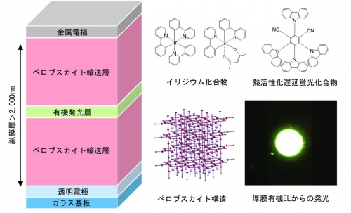 研究グループが開発した有機ELの構造（写真：九州大学の発表資料より）