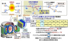 中性子増倍材の役割とベリリウムの安定確保の必要性。（画像:量子科学技術研究開発機構発表資料より）