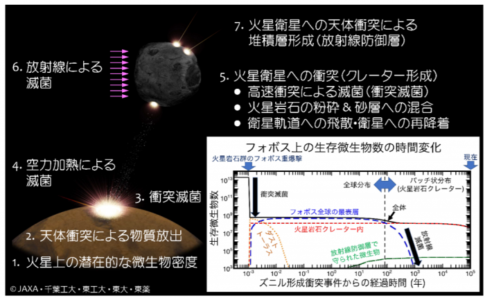 研究で検討した火星上のズニルクレーター形成衝突事件からの時系列と物理過程（フォボスにおける検討例）。（画像:JAXAの発表資料より）