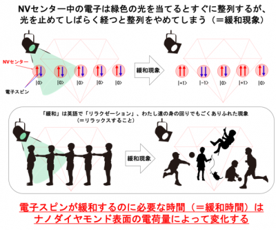 緑色光の照射によって量子状態の変化（緩和）する。（写真：量子科学技術研究開発機構の発表資料より）